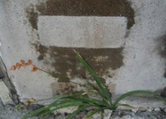 石材、コンクリート用撥水剤のご提案